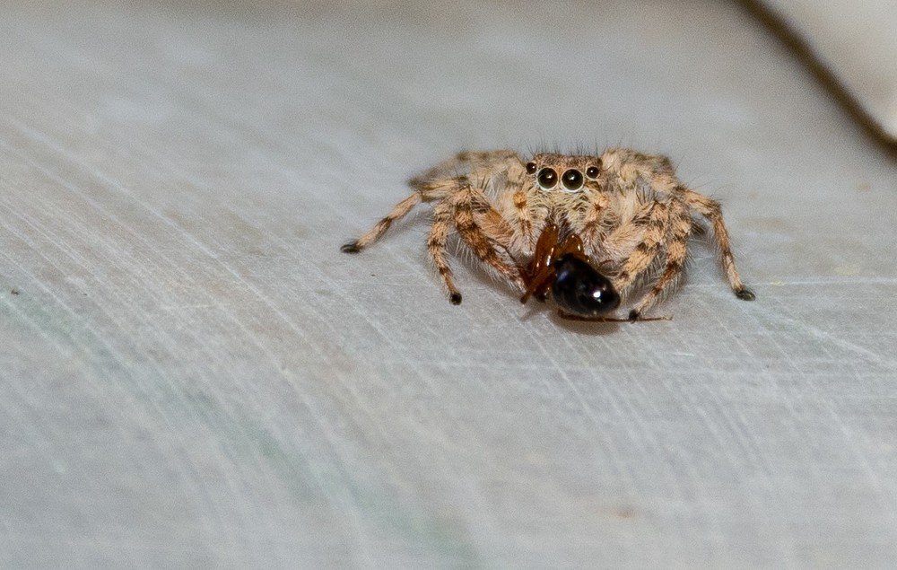 Photograph by MORTEZA ASALI