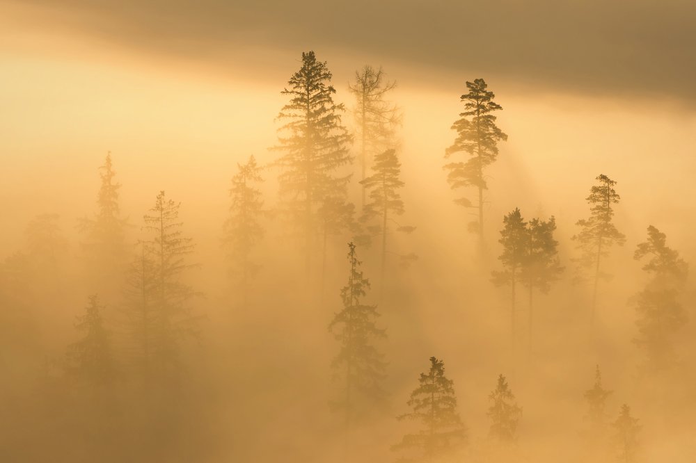 Photograph by Martin Šúrik