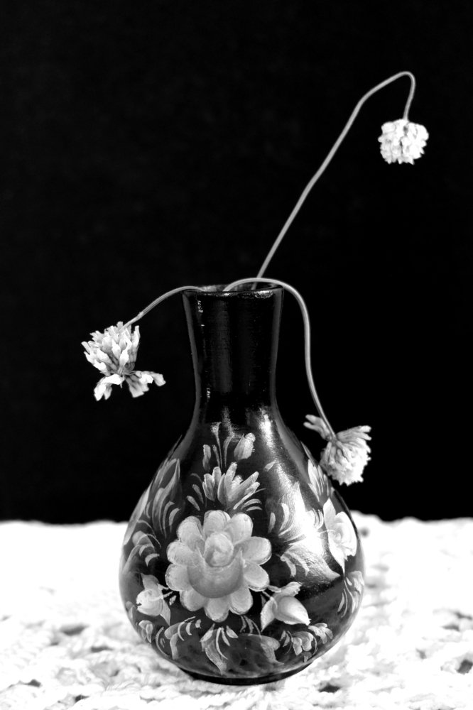 Photograph by Nika