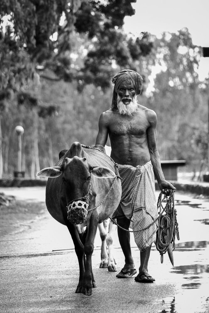 Photograph by S M Asif Siddik