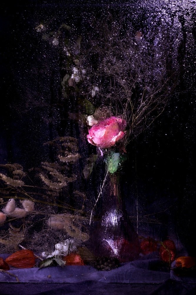 Дикий ангел