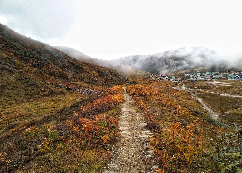 Photo #4784043
