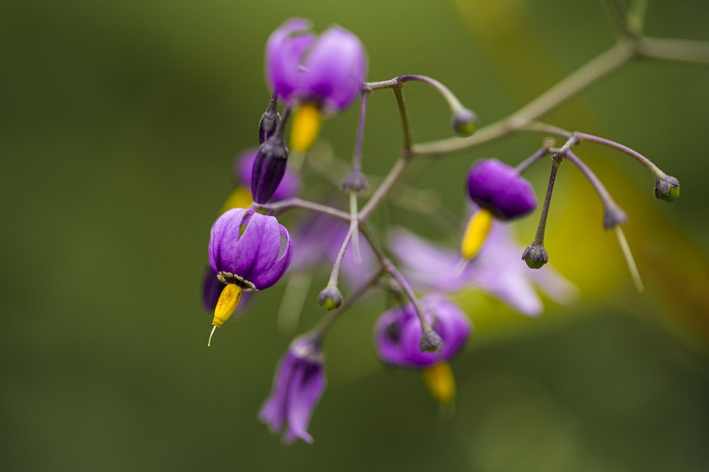 Photograph by Евгений Ким