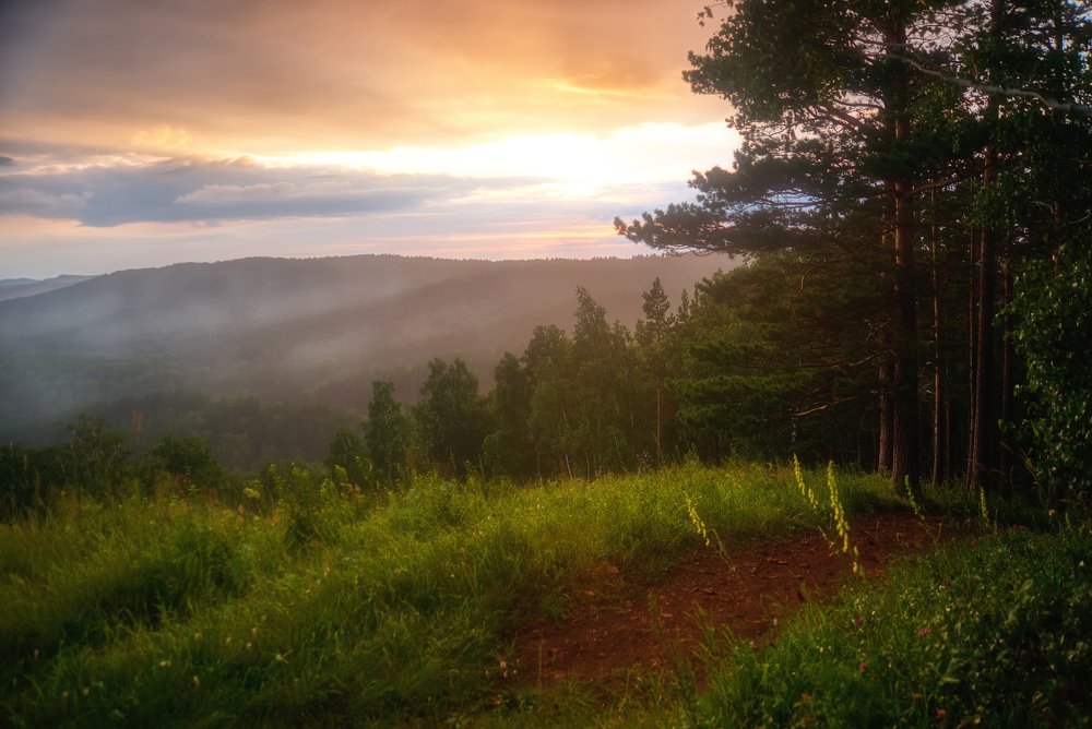 Летний вечер.