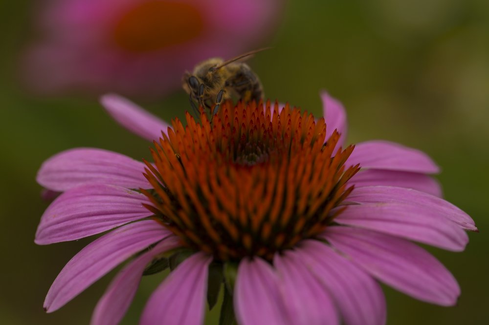 Photograph by Евгений Ким