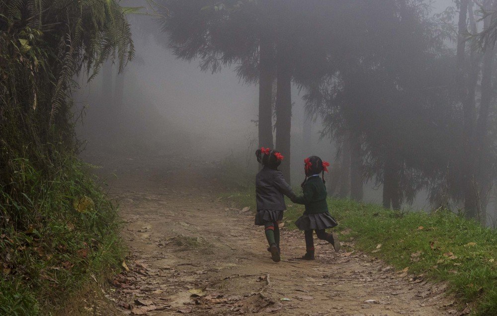 Фотография автора Ritwik Ray