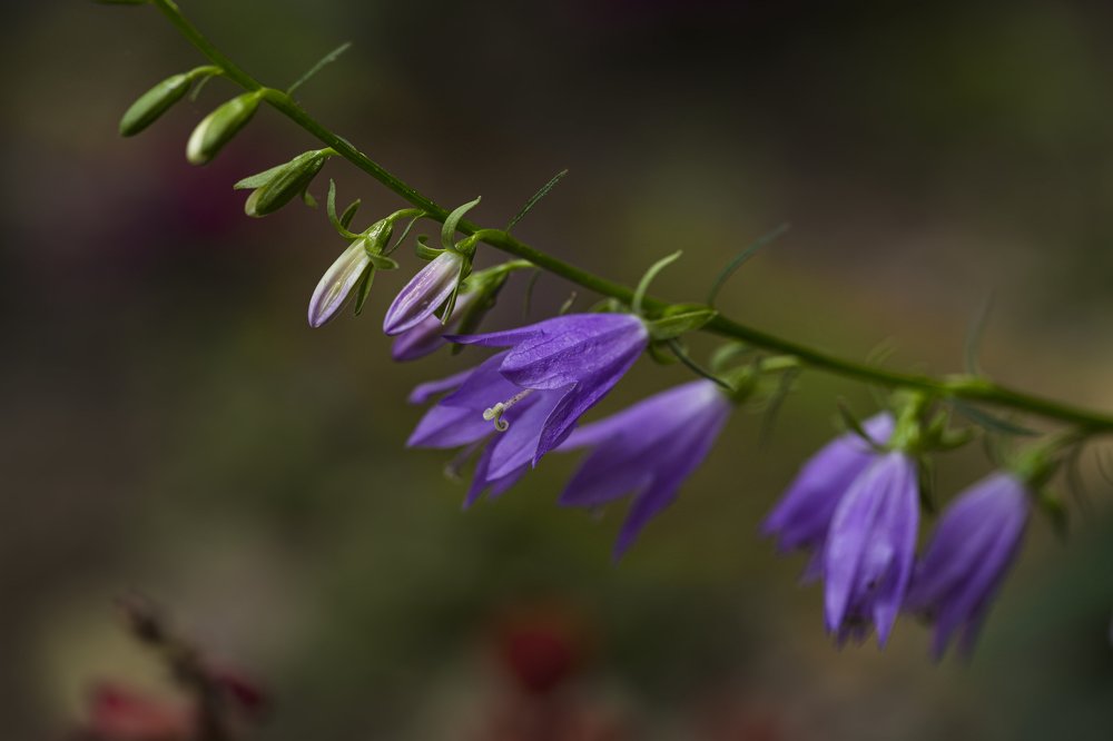 Photograph by Евгений Ким