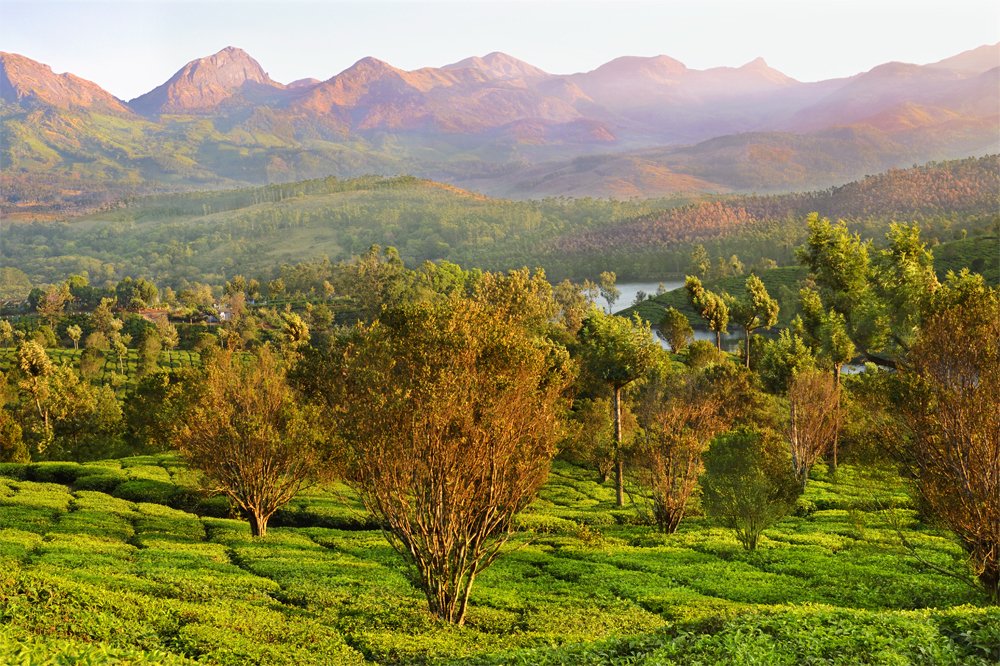 Dawn at Estate valley
