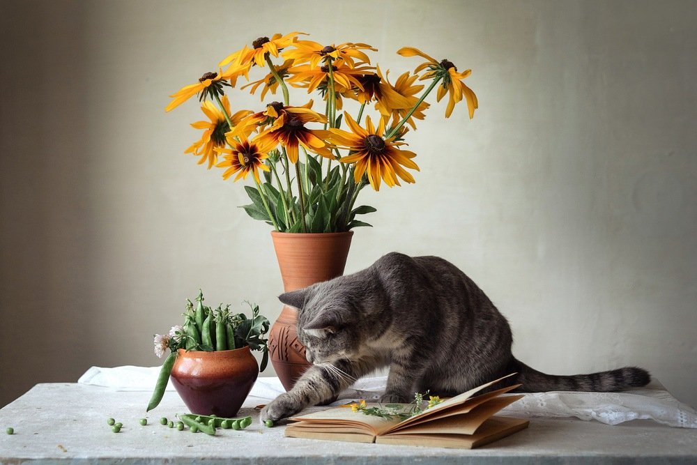 Photograph by Печерских Ксения