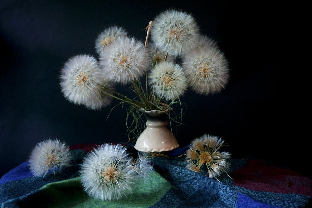 Photograph by Марина Соколова