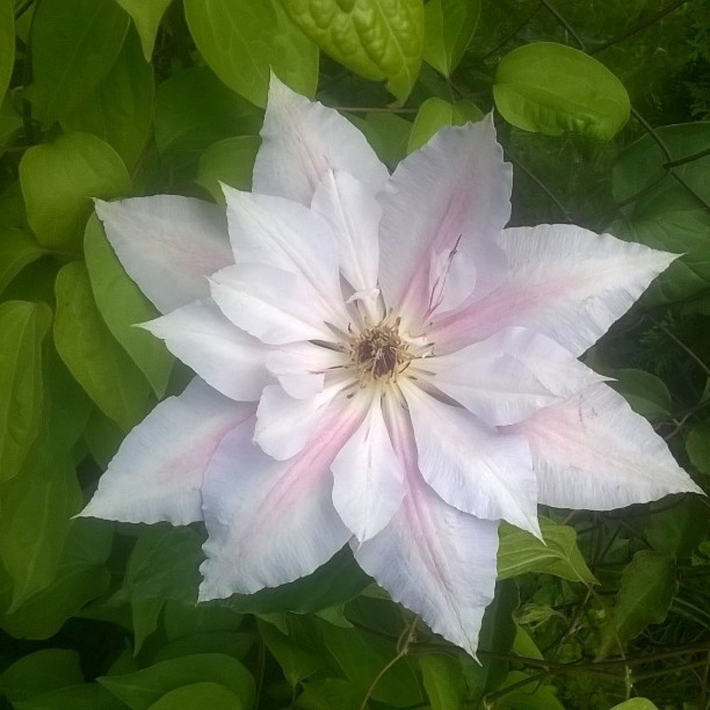 Photograph by Андрей Зиновьев