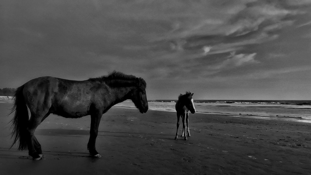 Photograph by Hasan Redoan Rakib