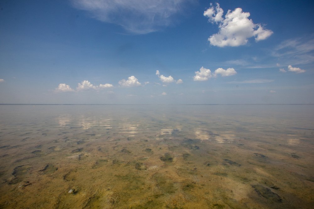 Photograph by Елена Абрамова