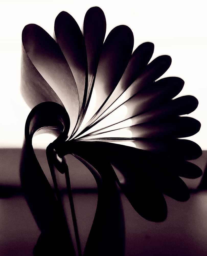 Photograph by Renuka Nambiar