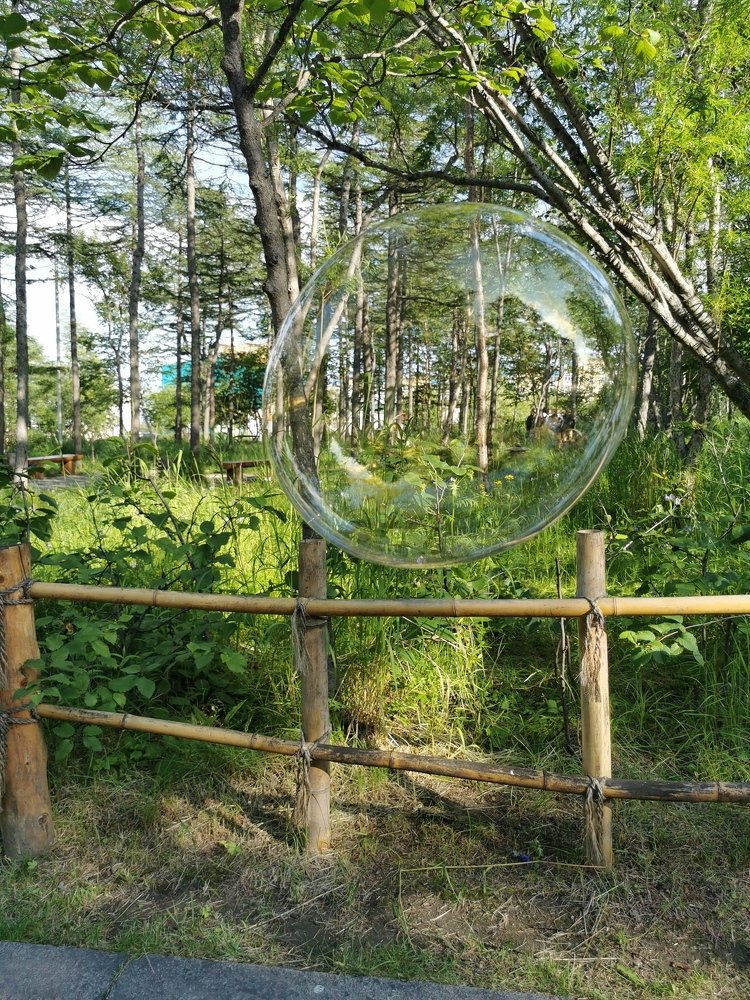 Photograph by Снежана Демидова