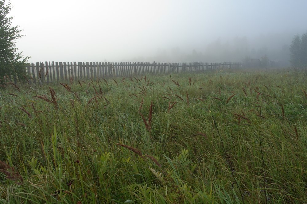 Photograph by Игорь Чижов