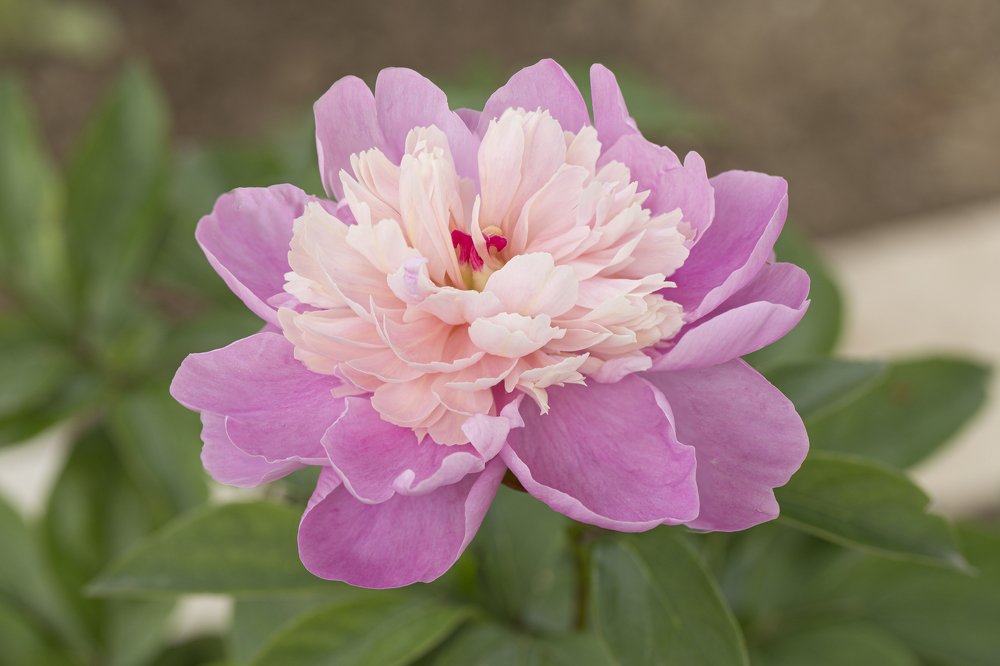 Photograph by Евгений Ким