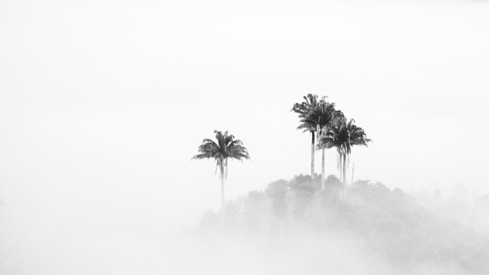 Photograph by Fabio Aristizábal