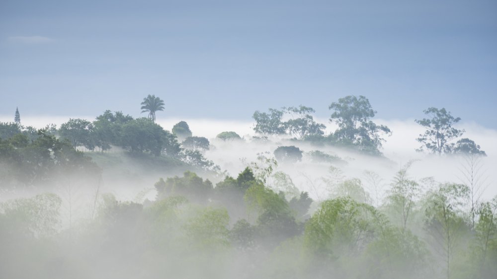 Photograph by Fabio Aristizábal