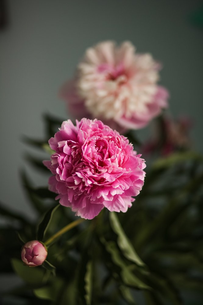 Photograph by Лазарева Анна Игоревна