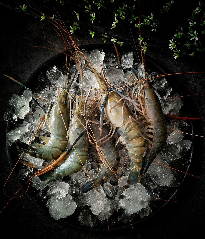 Photograph by Moon Moon Hossain