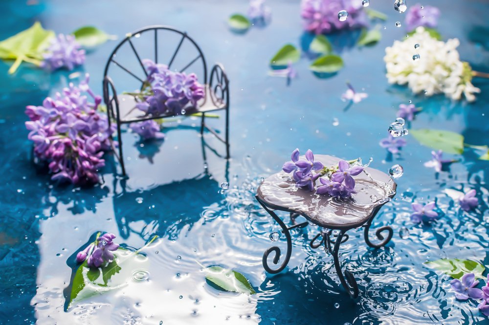 Photograph by Ольга Ильина