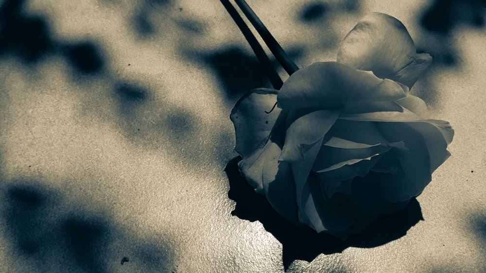 Photograph by Heri susanto