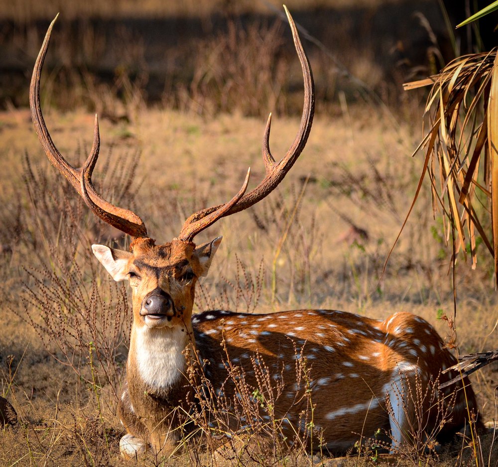 Photograph by Vishal Deshpande