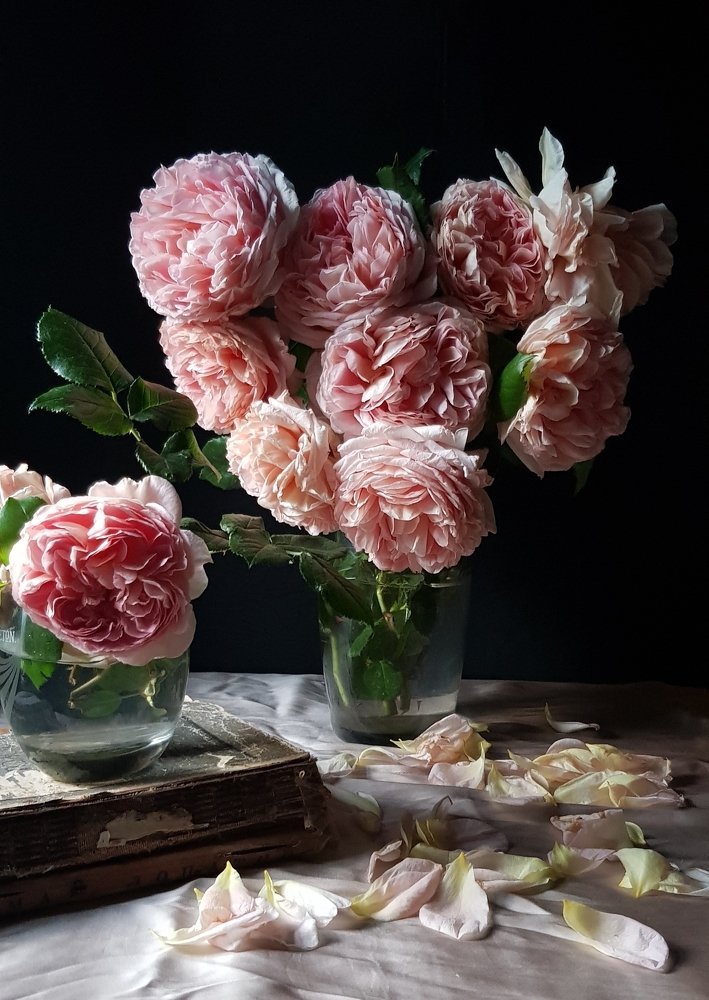 Photograph by Людмила Шатерникова