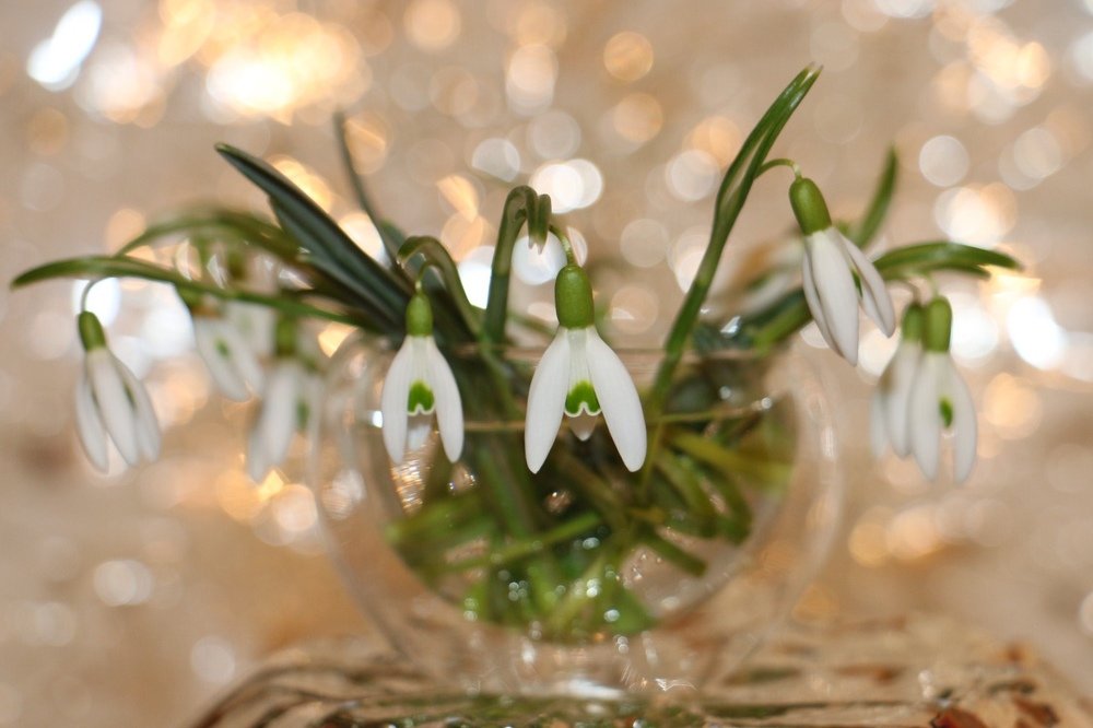 Photograph by Маргарита Венсил.