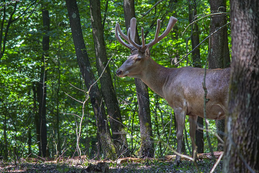 Photograph by Cemal Kaldirim