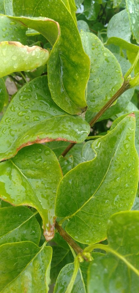 Photograph by Карлыгаш Жексенгалиева