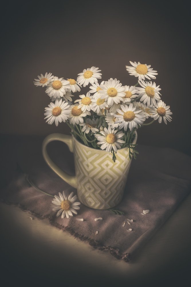 Фотография автора Игорь Баранов