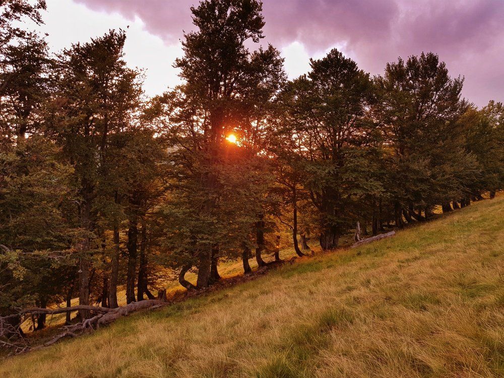 Photograph by Iгор Ситар