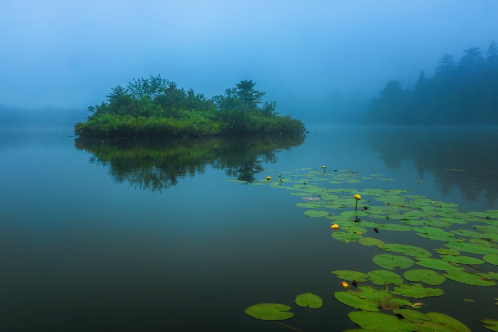 Photograph by Marc-Alain Ferragne