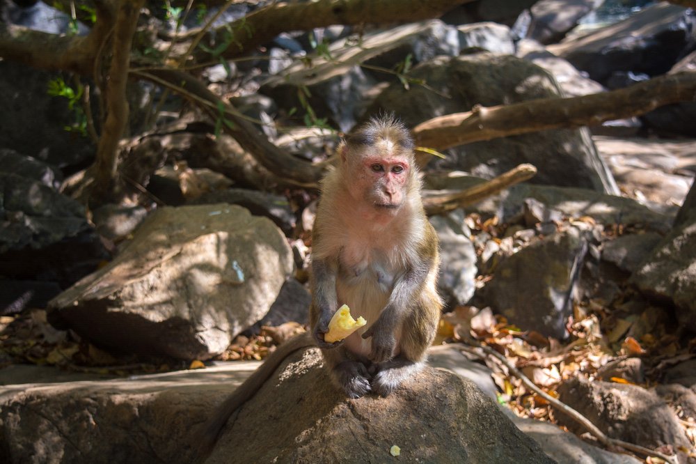 Photograph by Ника