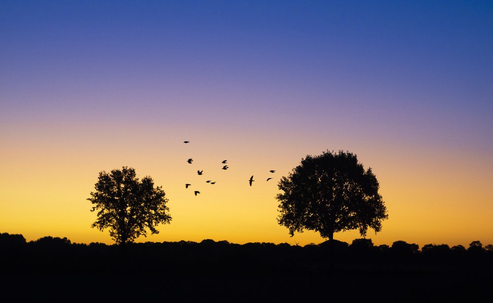 Photograph by Eduards Spila