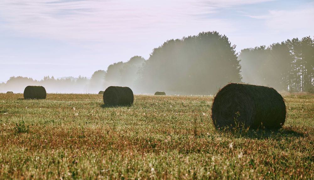 Photograph by Сергей Ветошкин