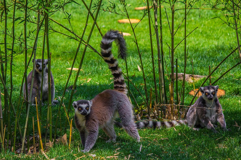 Photograph by Cemal Kaldirim