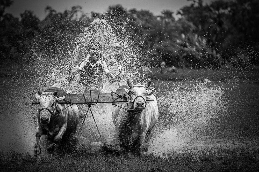 Photograph by SANKALAN BANIK