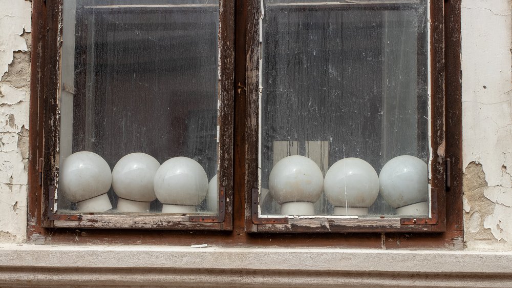 mushrooms in the window