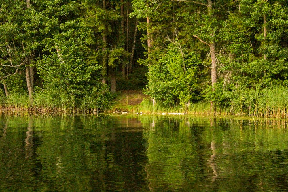 Photograph by Илона Шпака