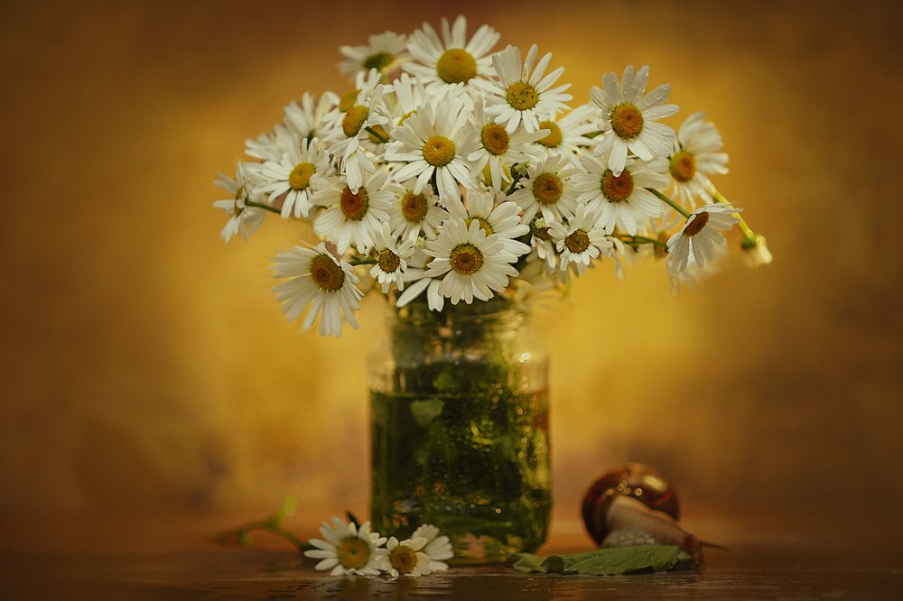 Photograph by Ксения Лысенкова