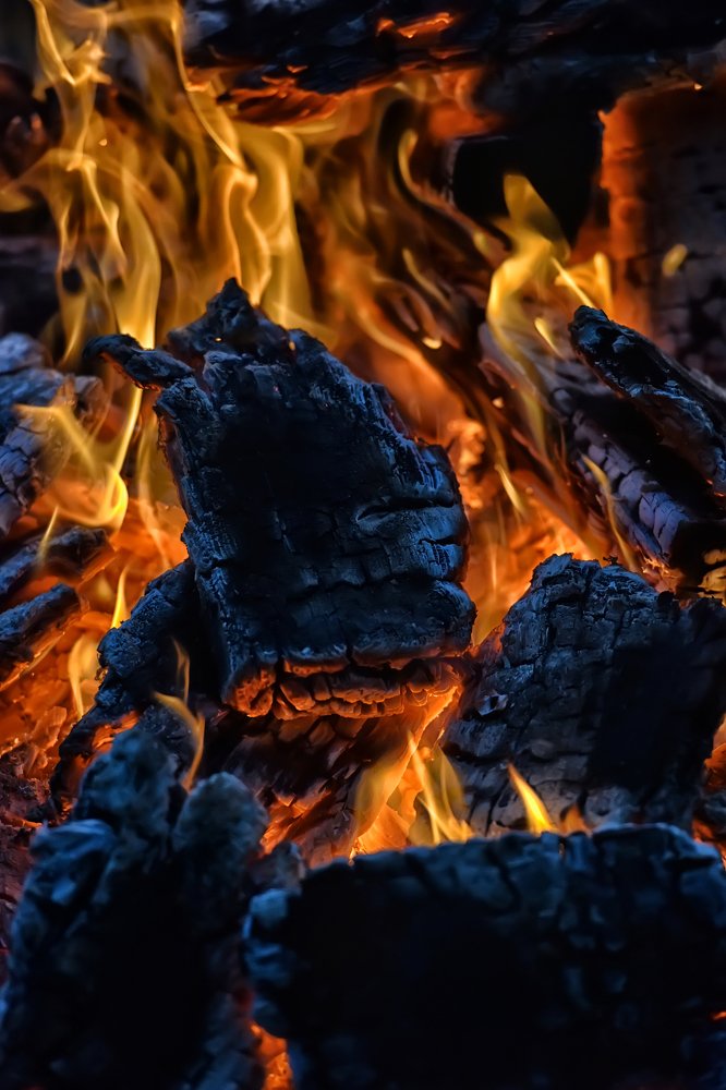 Photograph by Анна Кривицкая