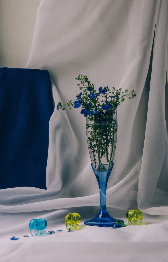 Photograph by Светлана Збраилова