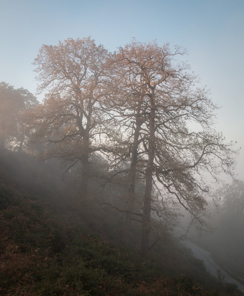 Photograph by ASLOUN ABDELKADER