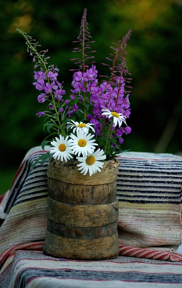 Фотография автора Андрей Шувалов