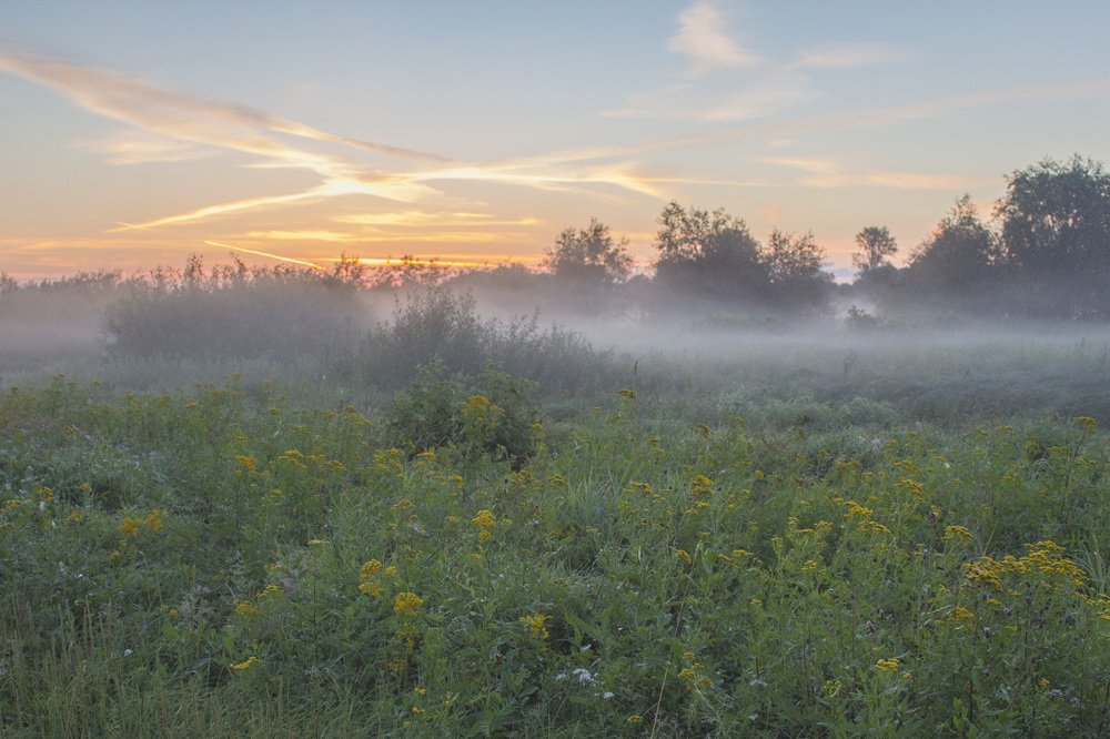 Фотография автора Галина Луценко