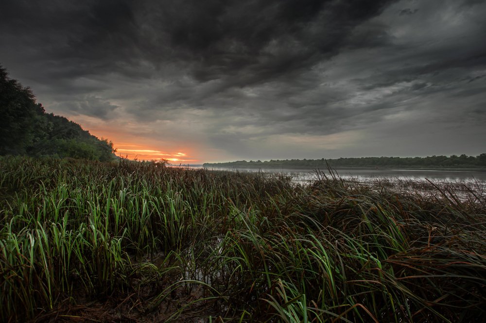 Photograph by Дмитрий Сдобин