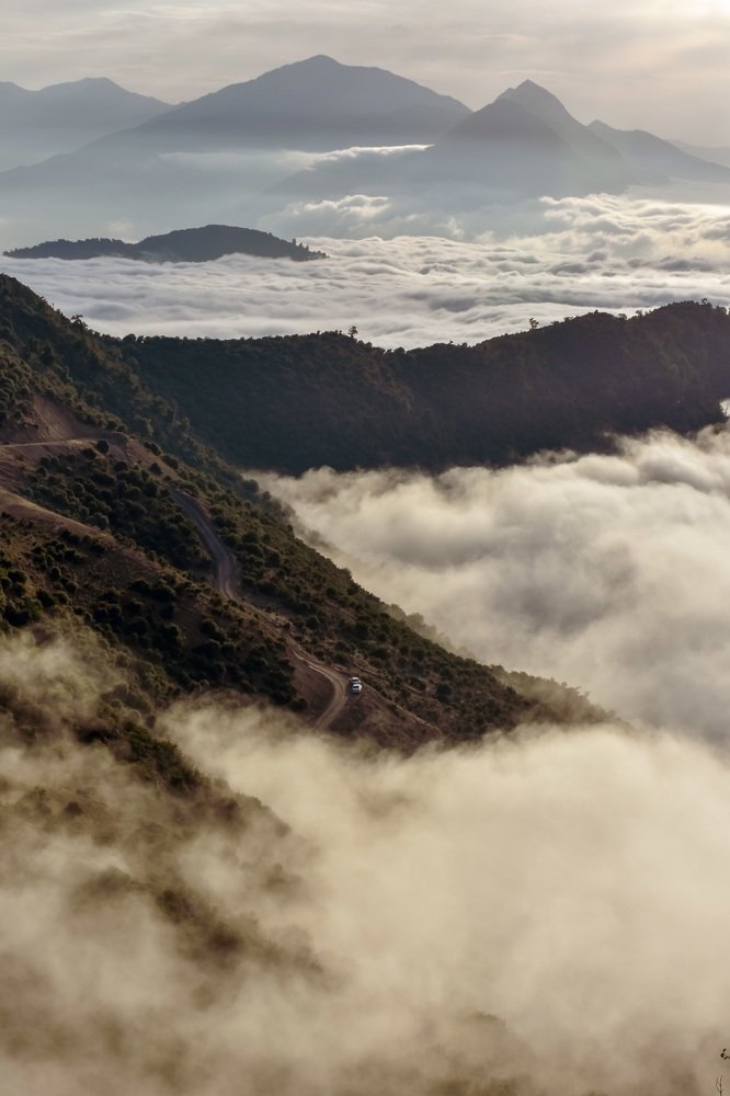 Фотография автора younes jafari